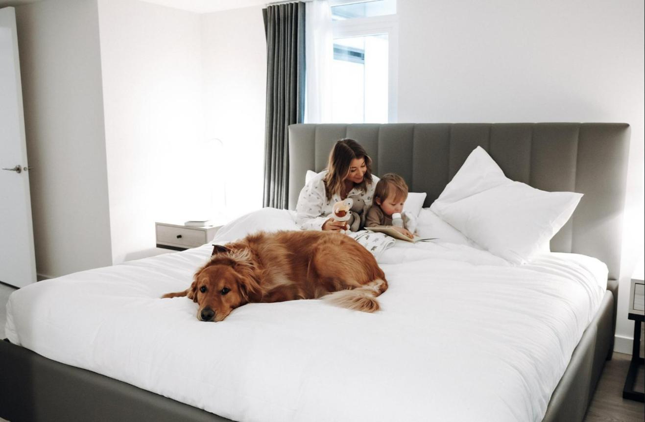 Hotel Level Downtown La South Olive Los Angeles Zewnętrze zdjęcie